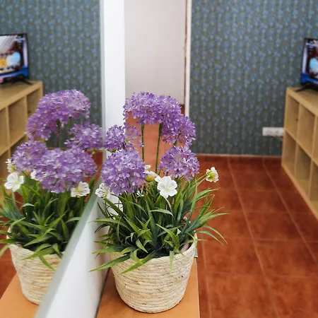Appartement Royal Tarraco A By Turismar *